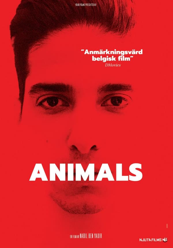 Animals (DVD)