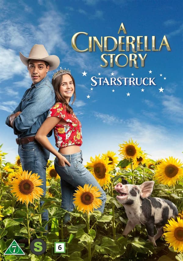 A Cinderella story - Starstruck (DVD)
