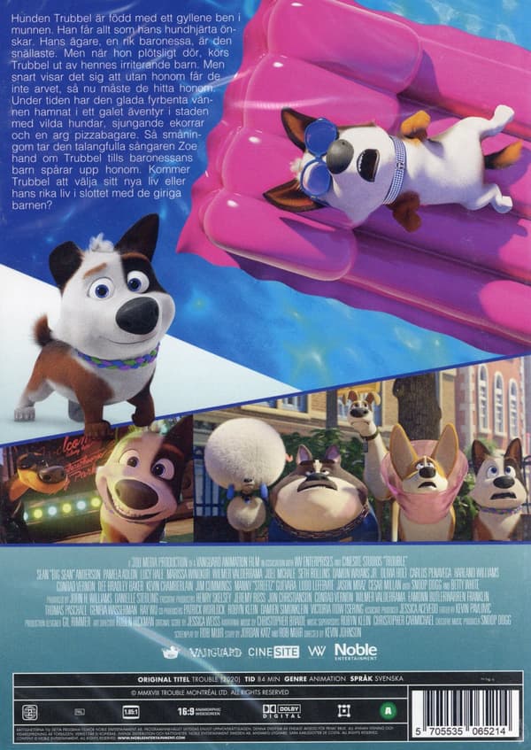 Trubbel (DVD)