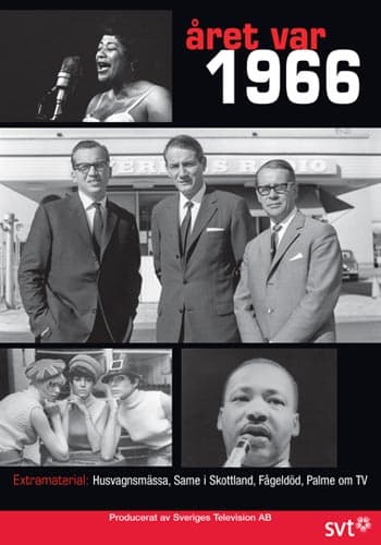 Året var 1966 (DVD)