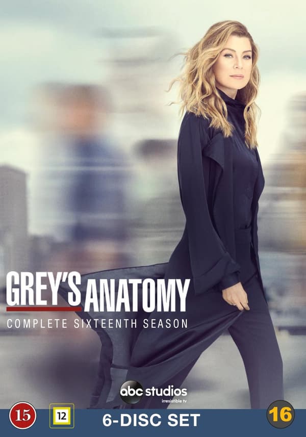 Grey's Anatomy / Säsong 16 (6 DVD)