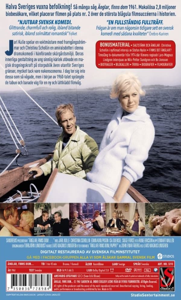 Änglar finns dom (DVD)