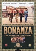 Miniatyrbild 1 av 2: Bröderna Cartwright / Bonanza / Säsong 1 (8 DVD)