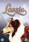 Pikkukuva 1 / 2: Lassie 1-3 (3 DVD)