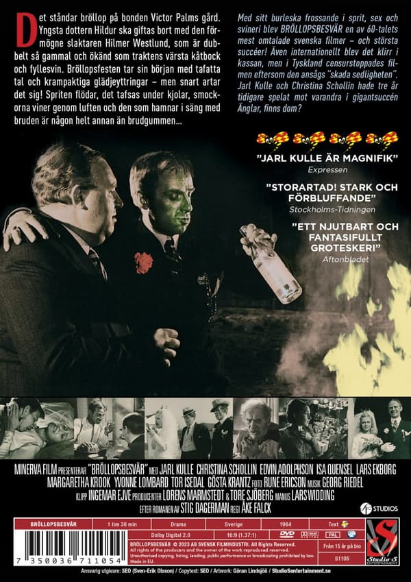 Bröllopsbesvär (DVD)