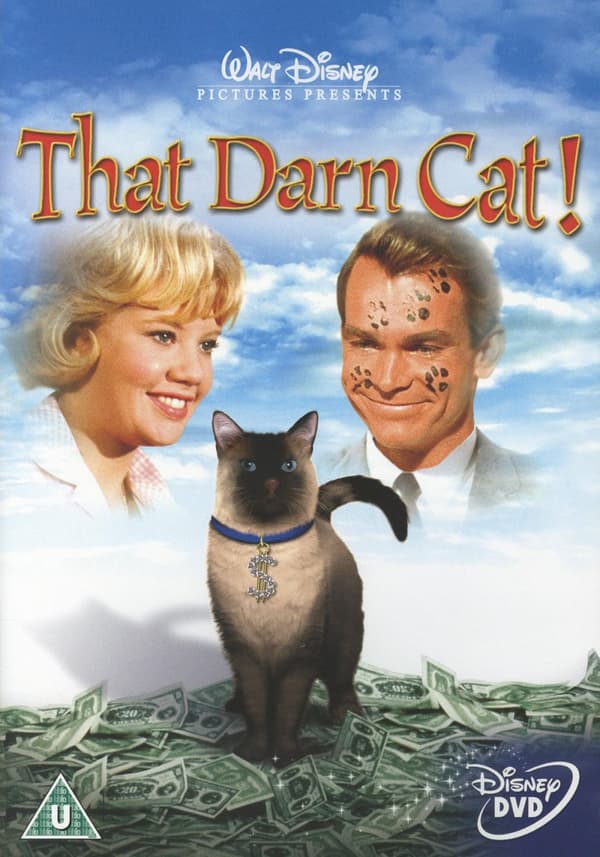 Agent DC (Ej svensk text) (DVD)