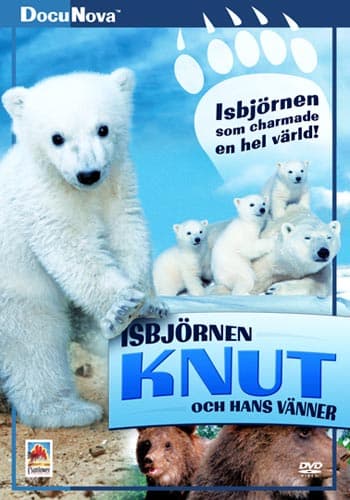Isbjörnen Knut (DVD)