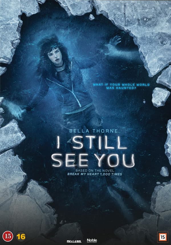 I still see you (DVD)