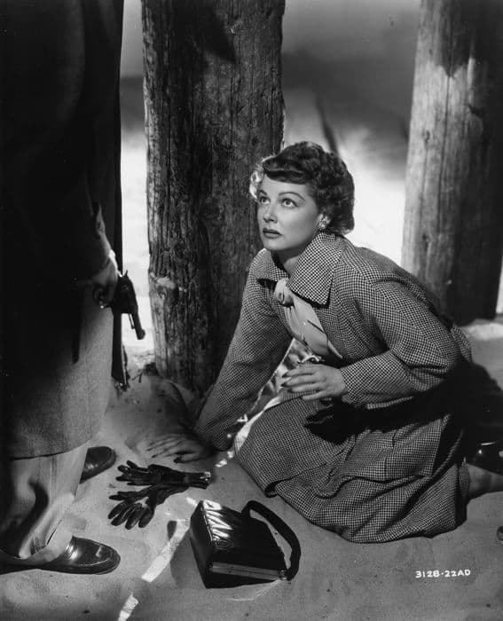 Blu-ray-filmen Elephant In the Shadow of San Francisco Blu-ray