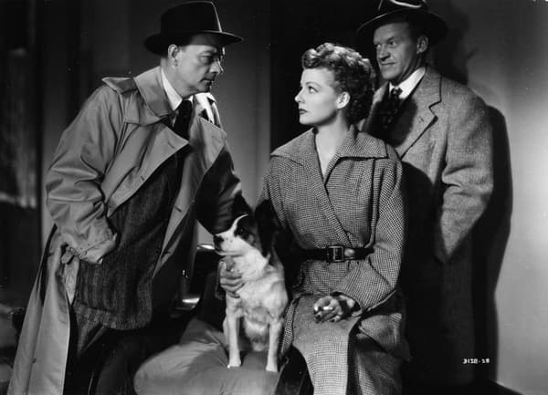 Blu-ray-filmen Elephant In the Shadow of San Francisco Blu-ray