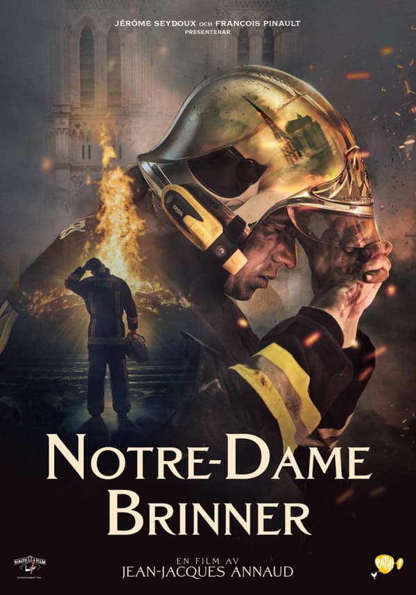 Notre-Dame brinner (DVD)