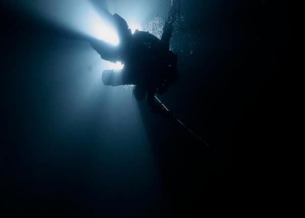 Dvd film M6 interaktioner The Last Dive DVD