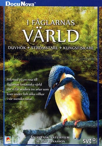 I fåglarnas värld (DVD)