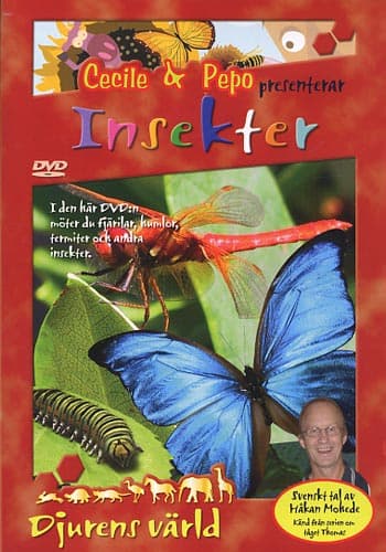 Djurens värld med Cecile & Pepo / Insekter (DVD)