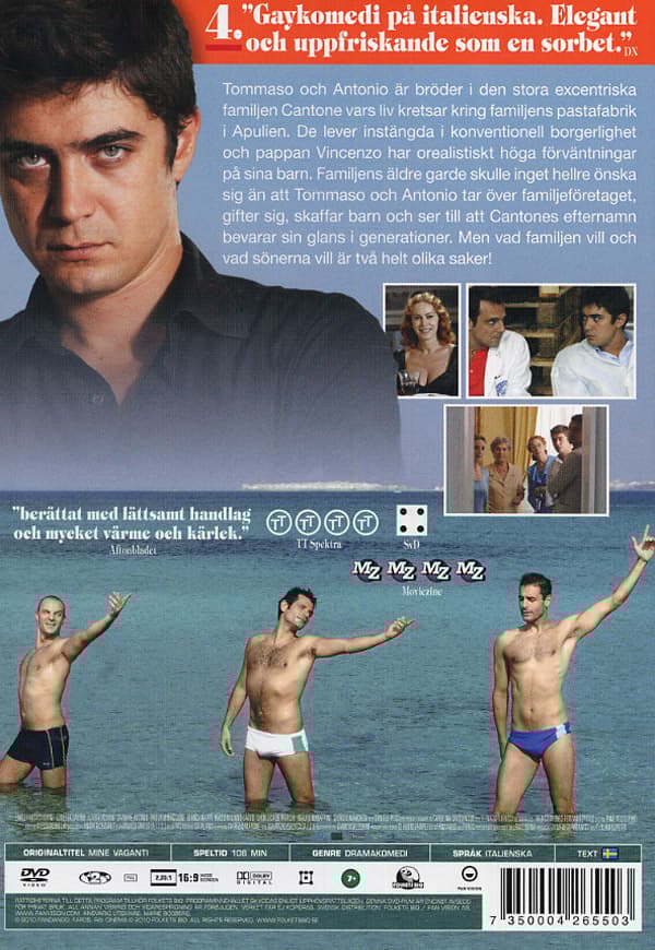 En italiensk familj på gränsen till sammanbrott (DVD)