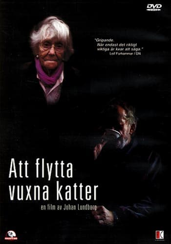 Att flytta vuxna katter (DVD)