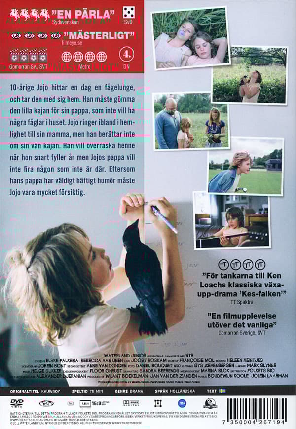 Kauwboy (DVD)