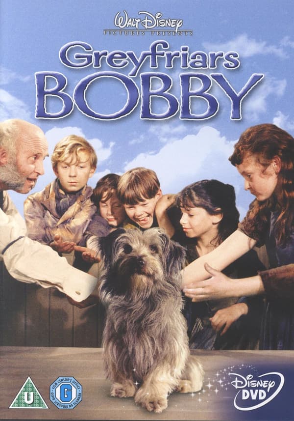 Bobby Trofast (DVD)