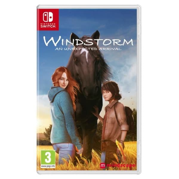 DVD - WINDSTORM - EN OVÄNTAD ANKOMST - Franska - All publik