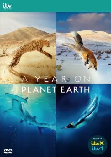 A Year On Planet Earth [E] DVD Brand New