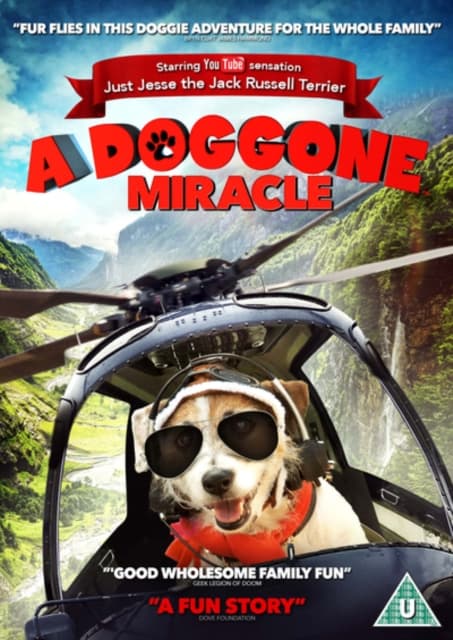 A Doggone Miracle (DVD)