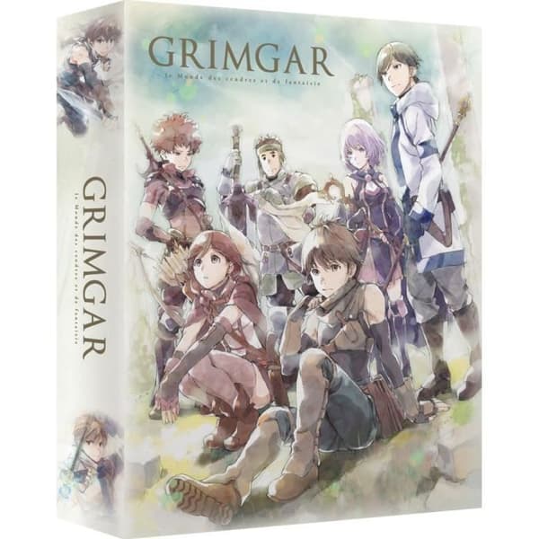 Grimgar - Komplett - DVD