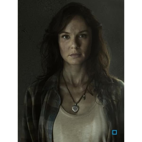 The Walking Dead komplett säsong 1 till 5 – 21 DVD