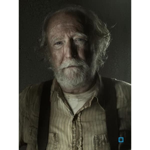 The Walking Dead komplett säsong 1 till 5 – 21 DVD