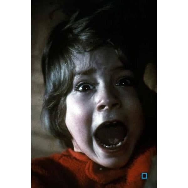 The Shining DVD