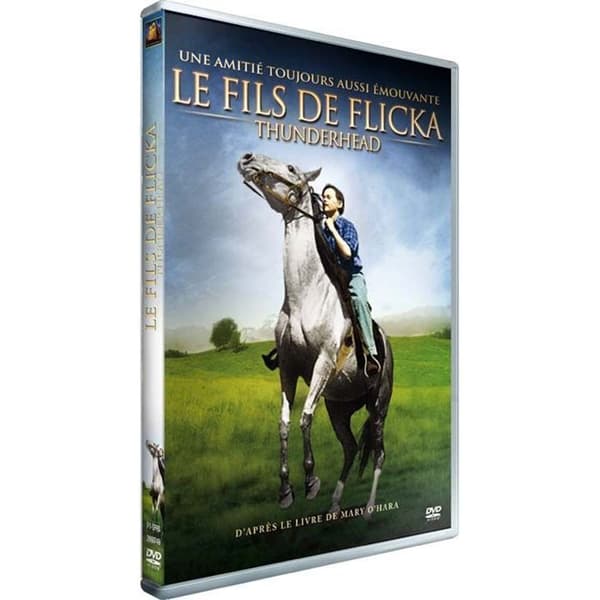 DVD Flickas son