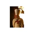 Miniatyrbild 2 av 4: THE ACCURRED KINGS (dvd)