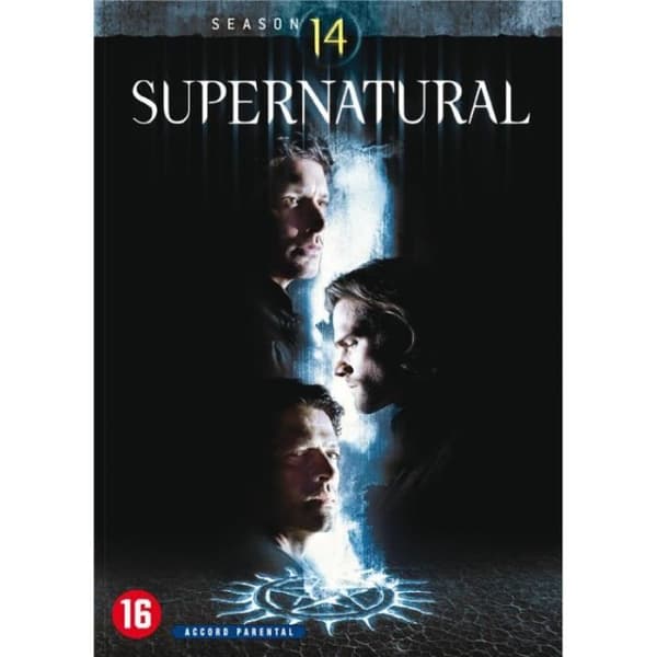 Supernatural, säsong 14 [DVD]