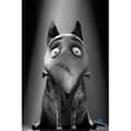 Miniatyrbild 6 av 6: DISNEY CLASSICS - Frankenweenie DVD
