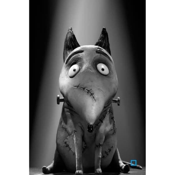 DISNEY CLASSICS - Frankenweenie DVD