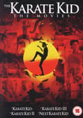 Pikkukuva 1 / 2: Karate Kid 14 Box Set Repackage (4 DVD)
