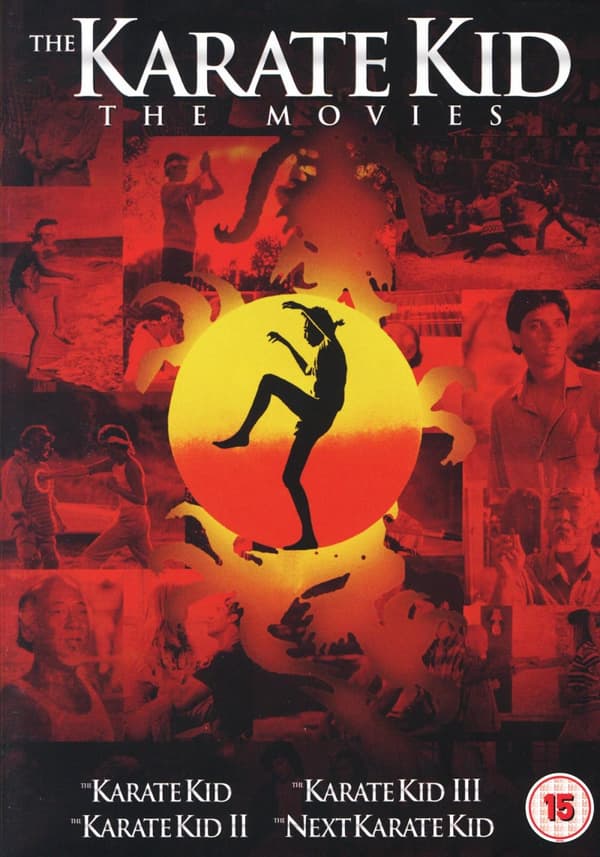Karate Kid 14 Box Set Repackage (4 DVD)