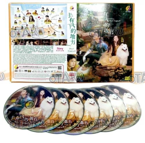 MEET YOURSELF - CHINESE TV SERIES DVD BOX SET (1-40 EPS) SHIP FROM Region 2 (Brand New)