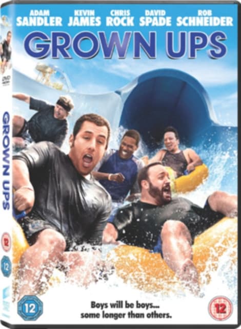Grown Ups 2010 (DVD)