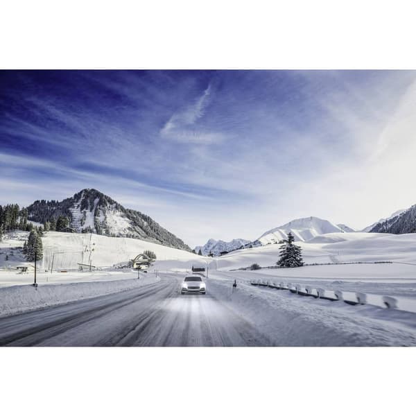 Philips Automotive 12342WVUSM Halogenlampa WhiteVision, WhiteVision H4 60/55 W 12 V