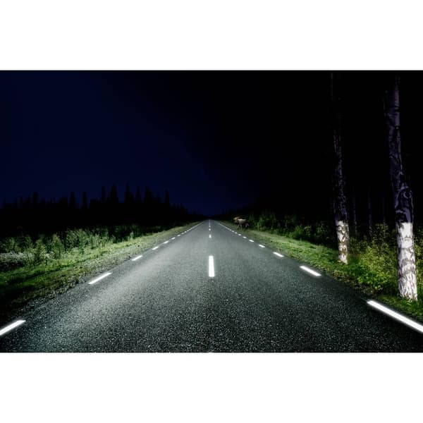 Philips Automotive UD5003LX1 Ultinon Drive 5003L Arbetsbelysning, Fjärrstrålkastare, Komplett strålkastare, Extraljus,