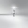 Miniatyrbild 3 av 3: OSRAM 64150NBS Halogenlampa Night Breaker® Silver H1 55 W 12 V