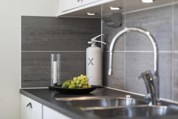 Brandsläckare NEXA 2kg pulver vit 13A