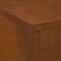 Miniatyrbillede 9 af 11: vidaXL Forvitret stål/Brun Corten stål 60 x 40 x 96 cm Ildsted