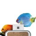Miniatyrbild 1 av 4: Automatisk Fiskmatare, 100ML Kapacitet, Appkontroll