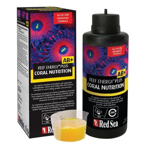 Reef Energy Plus