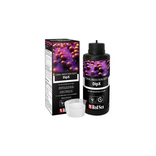 Dipx Disinfection