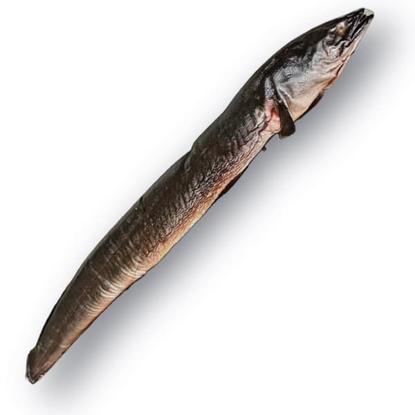 Røget ål 1 stk 0,8 - 1 kg traditionel varmrygning
