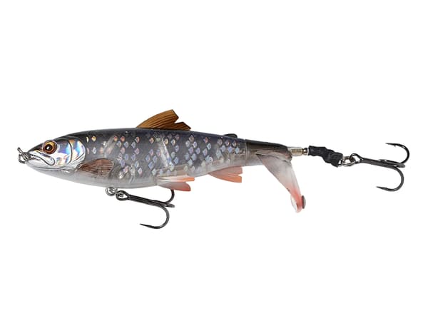 SG 3D SmashTail 13.5cm 38g F Roach