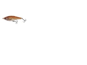 SG 3D Roach Jerkster 90 9cm 20g SS 06-Gold Fish PHP