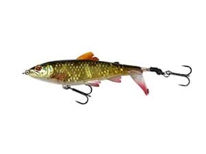 SG 3D SmashTail 10cm 17g F Rudd